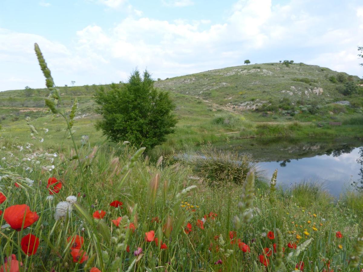 Casa Maria Villarroya Екстериор снимка